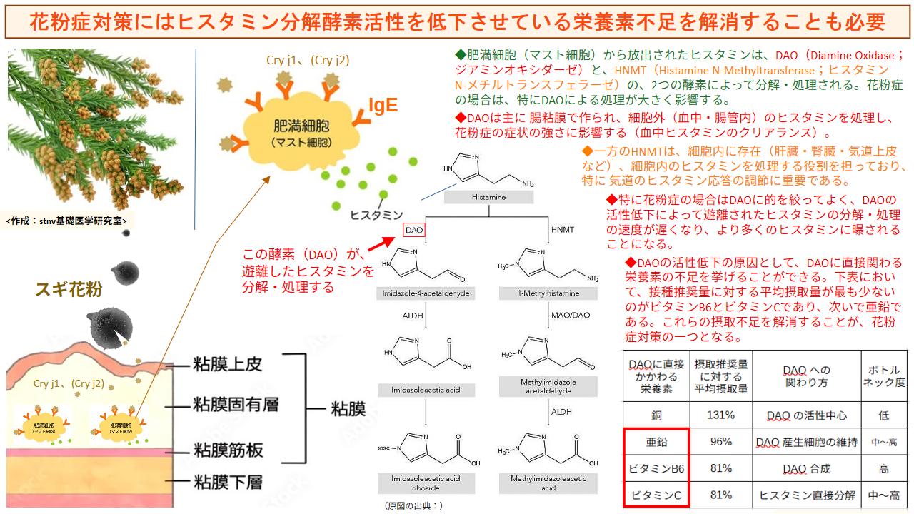 花粉症対策にはヒスタミン分解酵素活性を低下させている栄養素不足を解消することも必要