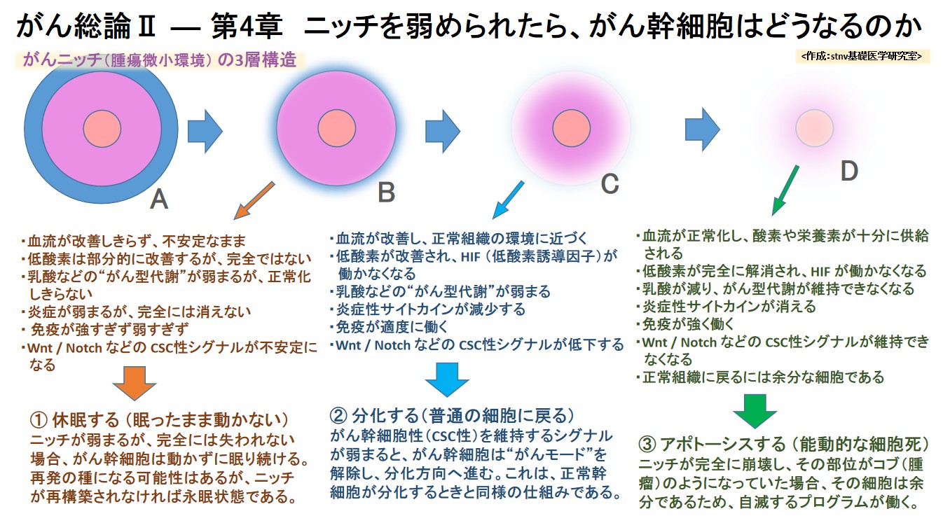 ニッチを弱められたら、がん幹細胞はどうなるのか