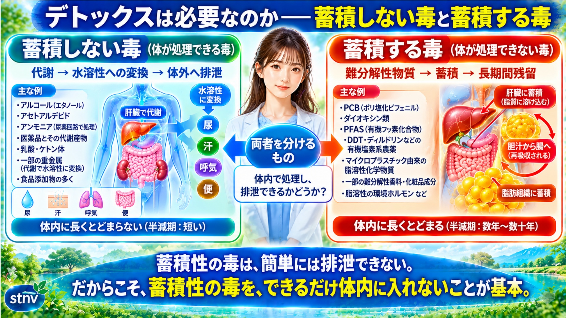 デトックスは必要なのか――蓄積しない毒と蓄積する毒
